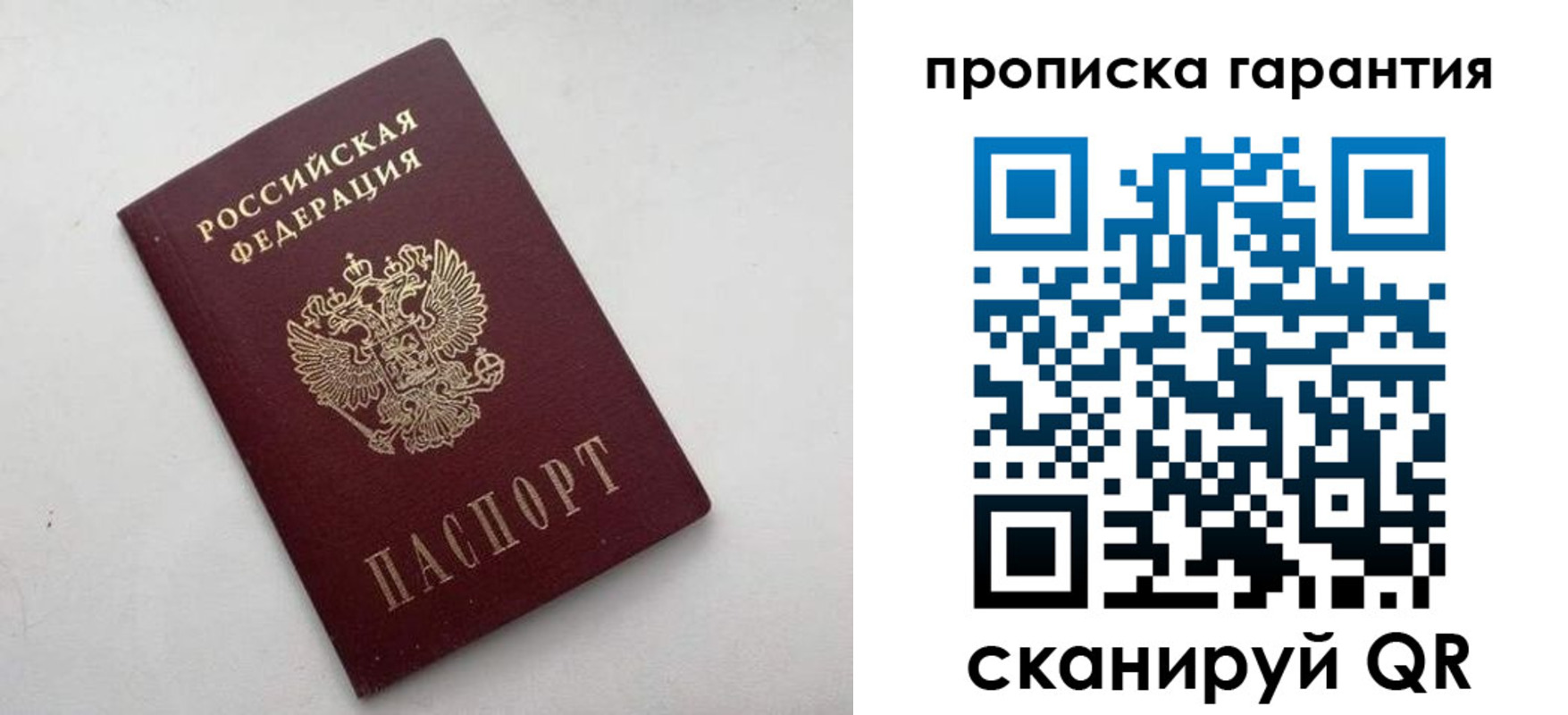 прописка поиск в Светлограде